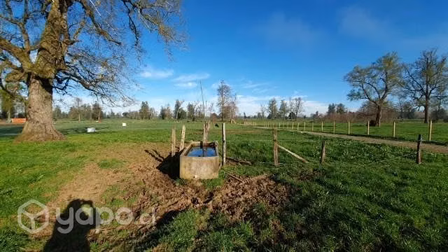Parcela en Osorno, Casa de Lata