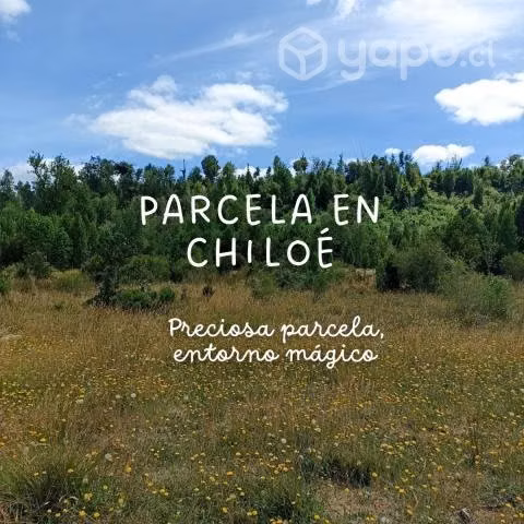 Vendo preciosa parcela en Chiloé