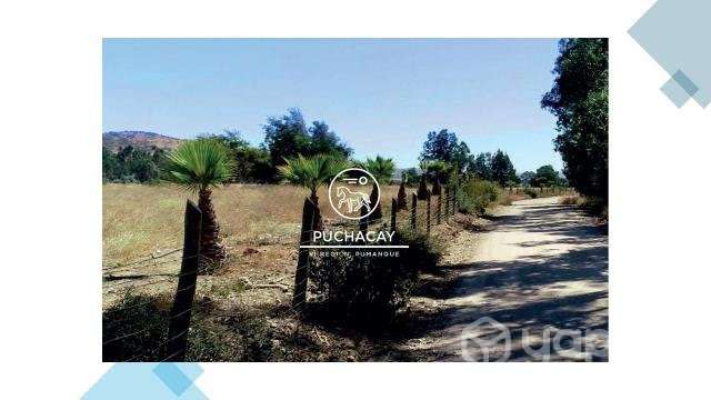 Parcela 5000 en Pumanque CON ROL - Imagen 5