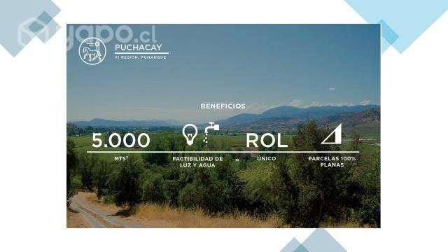 Parcela 5000 en Pumanque CON ROL - Imagen 3