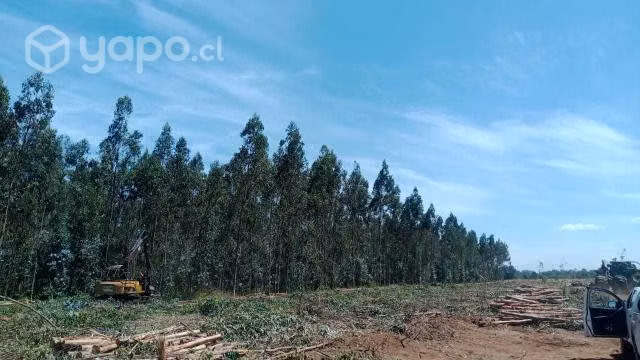 Parcela Rural a minutos de Freire
