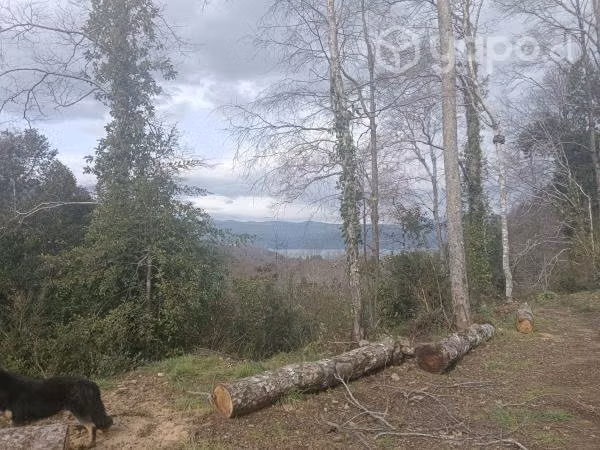 Terreno - Imagen 11