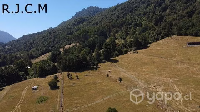 Se vende Terreno en caunahue alto, comuna futrono - Imagen 4