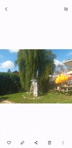 Vendo terreno 2.500 con 2 amplias casas