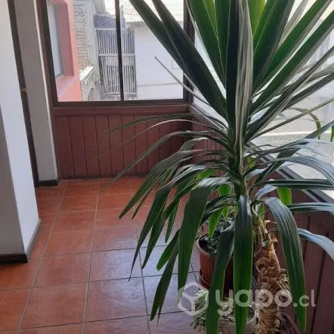 Arriendo Departamento Centro Llo-Lleo