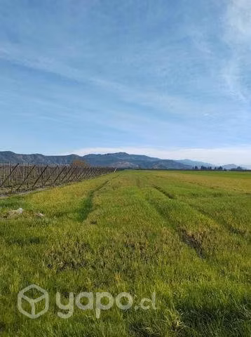 Terreno agricola 6ha con facilidades de pago