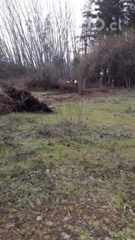 Sitio en fundo Caliboro, Salto del Laja - Imagen 3