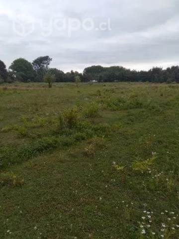 Venta de Terreno