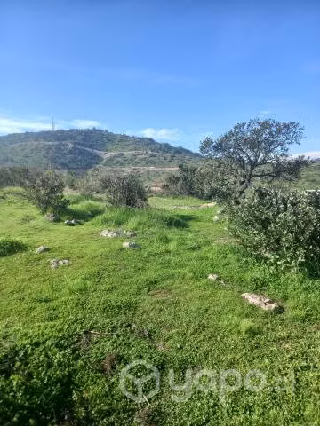Vendo parcela