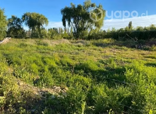 Parcela 5000 m2 sector patagua Villa Alegre