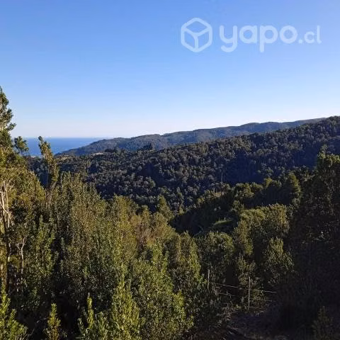 Vendo media hectárea en costa Valdiviana