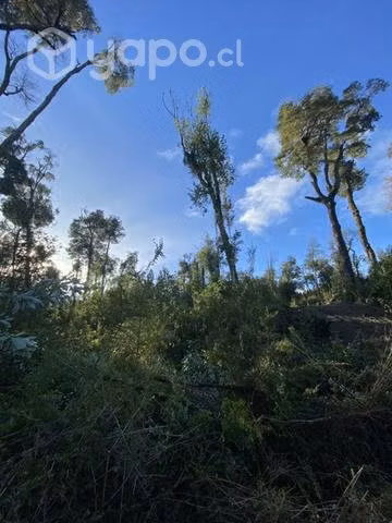 Terreno chiloe apeche alto queilen
