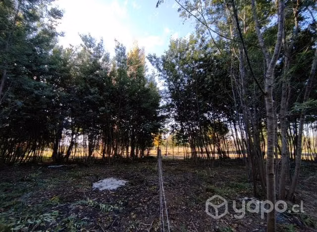 Sitio 5.000 m2 con río