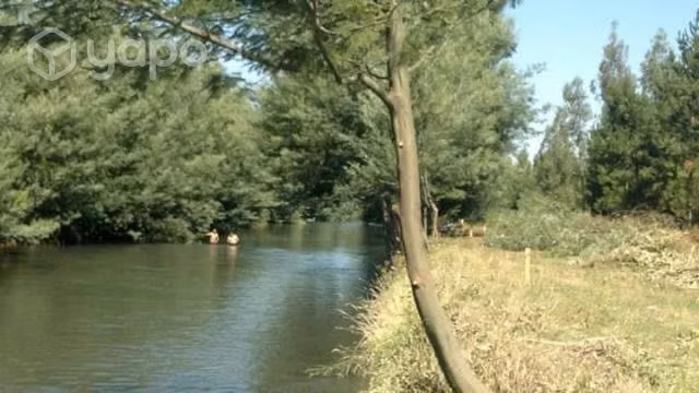 Parcela en San Miguel de Itata