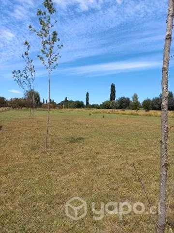 Parcela 5000m2 Bio Bio Los Angeles Camino Antuco