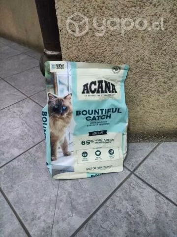 Alimento Gato Acana Bountiful Catch