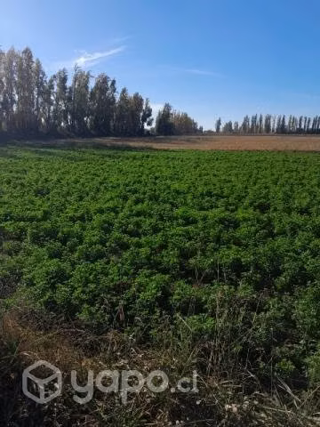 Se Vende Parcela en Yerbas Buenas