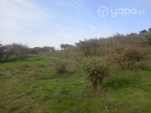 Parcela en litueche - Imagen 4