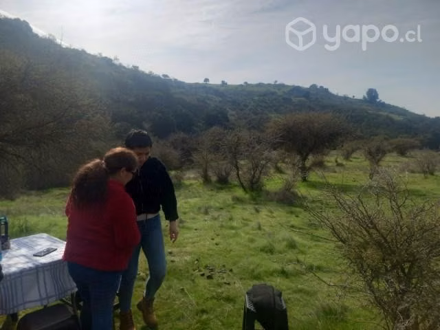 Parcela en litueche - Imagen 2