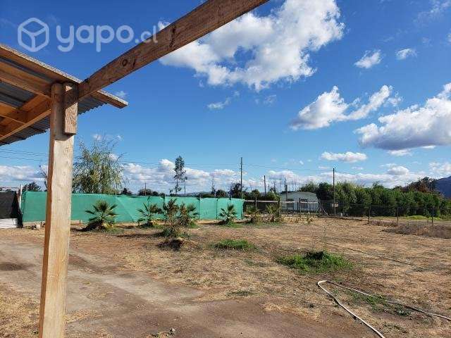 Parcela 5000 mtrs con casa grande - Imagen 6