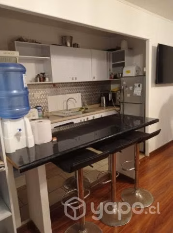 Arriendo departamento Marzo - Diciembre