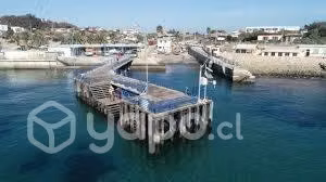 Pichidangui - Imagen 3