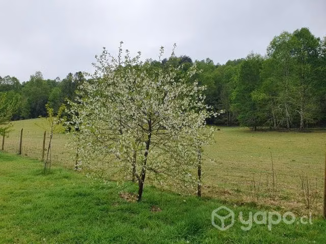 Vendo en VIllarrica gran parcela con casa y cabaña