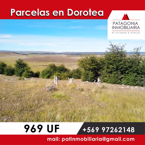 PARCELAS EN DOROTEA NATALES