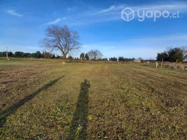 Parcela Bulnes 5000m2