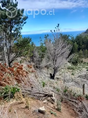 Terreno 2.6 hectareas