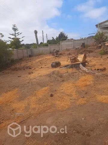 Casa en condominio quisco norte - Imagen 4