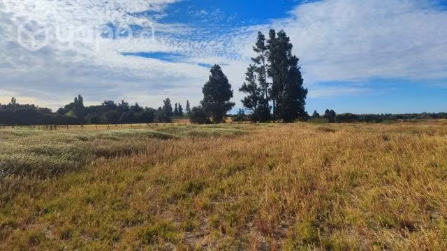 Venta Parcela sector santa Fé, comuna de los Ángel