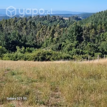 Vende dueño hermoso terreno