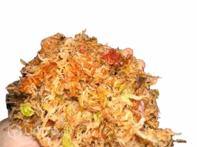 Musgo Sphagnum 5 Litros, Kokedamas, Orquideas Y Es
