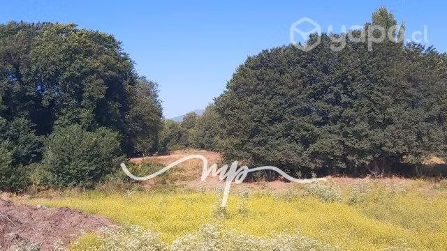 SITIO VALLE ALEGRE, COMERCIAL, A ORILLA DE CARRETE