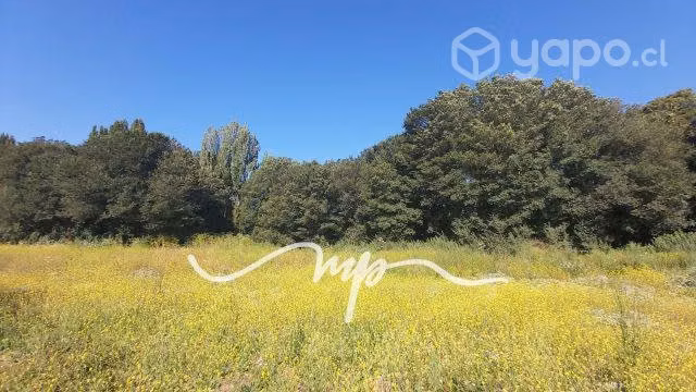 SITIO VALLE ALEGRE, COMERCIAL, A ORILLA DE CARRETE