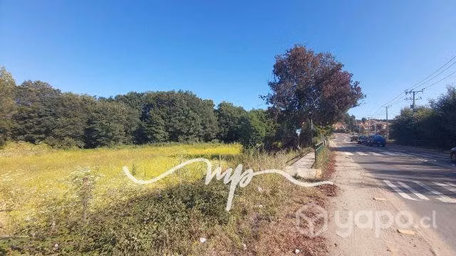 SITIO VALLE ALEGRE, COMERCIAL, A ORILLA DE CARRETE