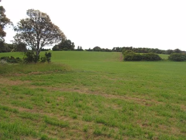 Campo Agrícola 60 Has