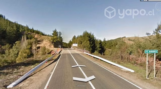 62 hectareas quirihue,sector manchimiliu