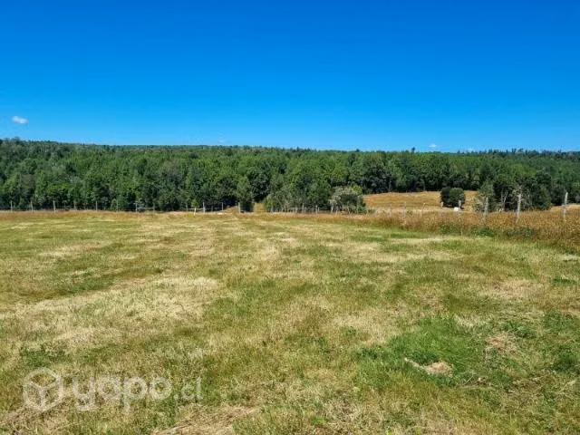 Terreno 5000m2 - Imagen 4