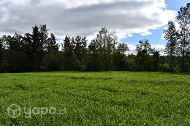 24 hectáreas de campo chileno - Imagen 5