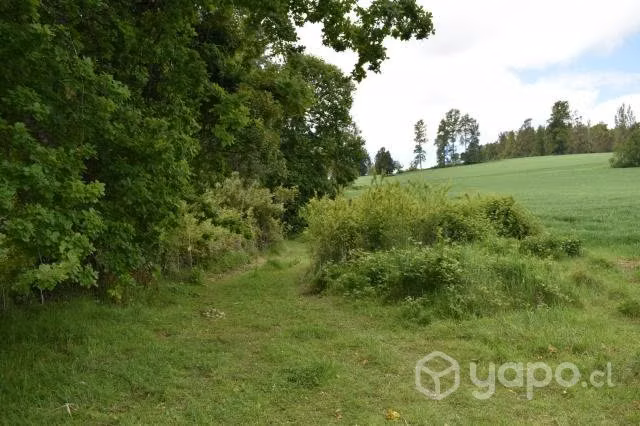 24 hectáreas de campo chileno - Imagen 6