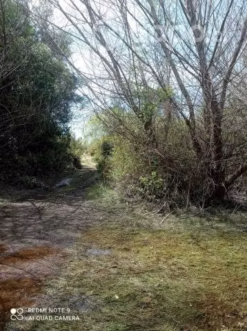 Hermoso terreno a orillas de Río (sector Allipen)