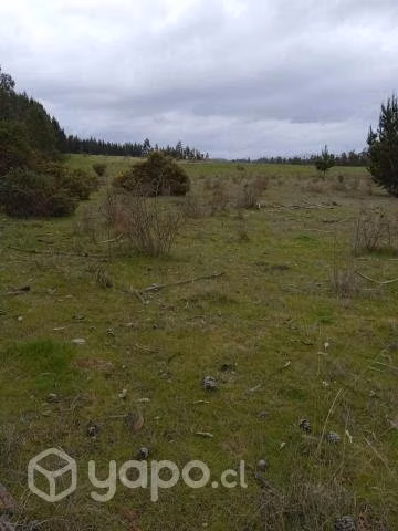 Vendo terreno - Imagen 6