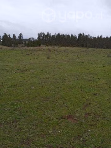 Vendo terreno