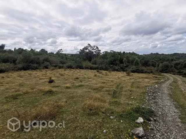 Vendo parcela en Lo Muermos - Imagen 3
