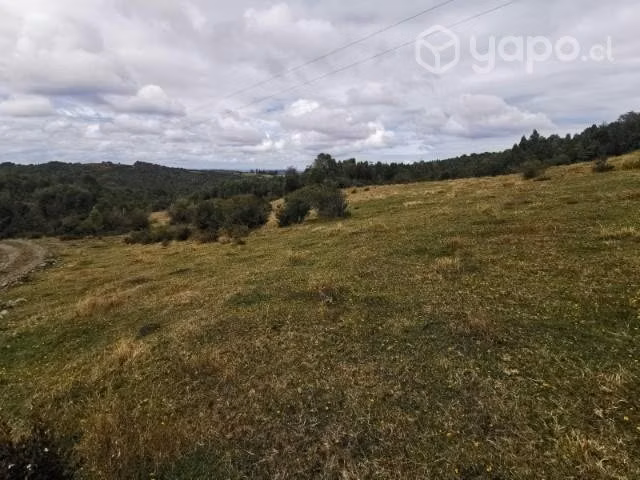 Vendo parcela en Lo Muermos - Imagen 2