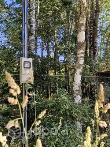 PARCELA 1 hectárea en sector Nanihue - Imagen 4