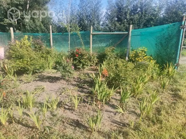 Parcelas con casa y quinta