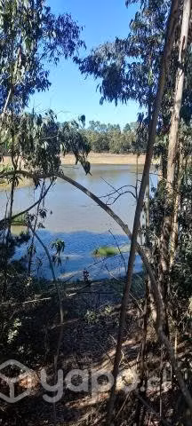 Sitio 1.000 mtrs2 Placilla - Imagen 2